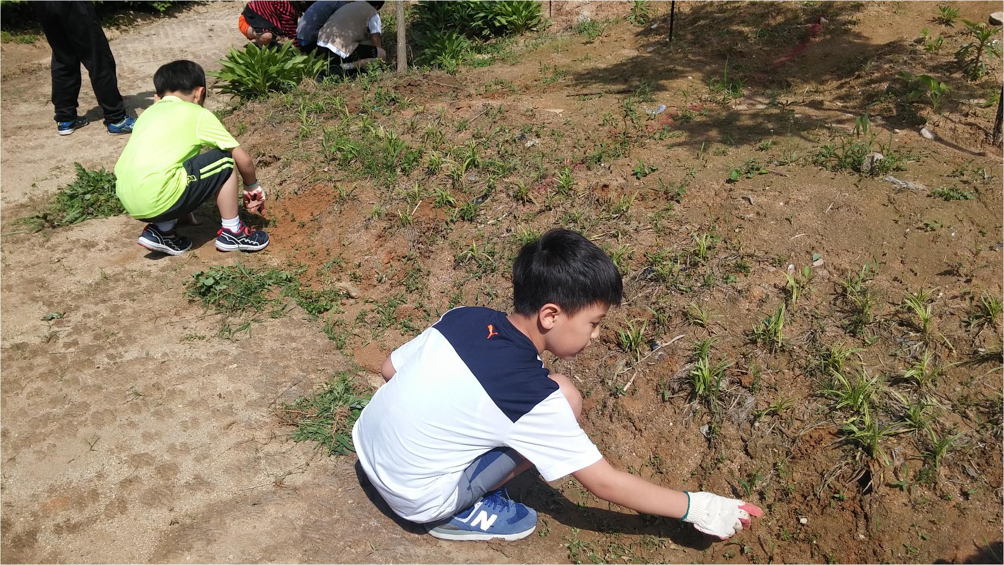 아름다운 학교를 위한 학교숲 관리 활동