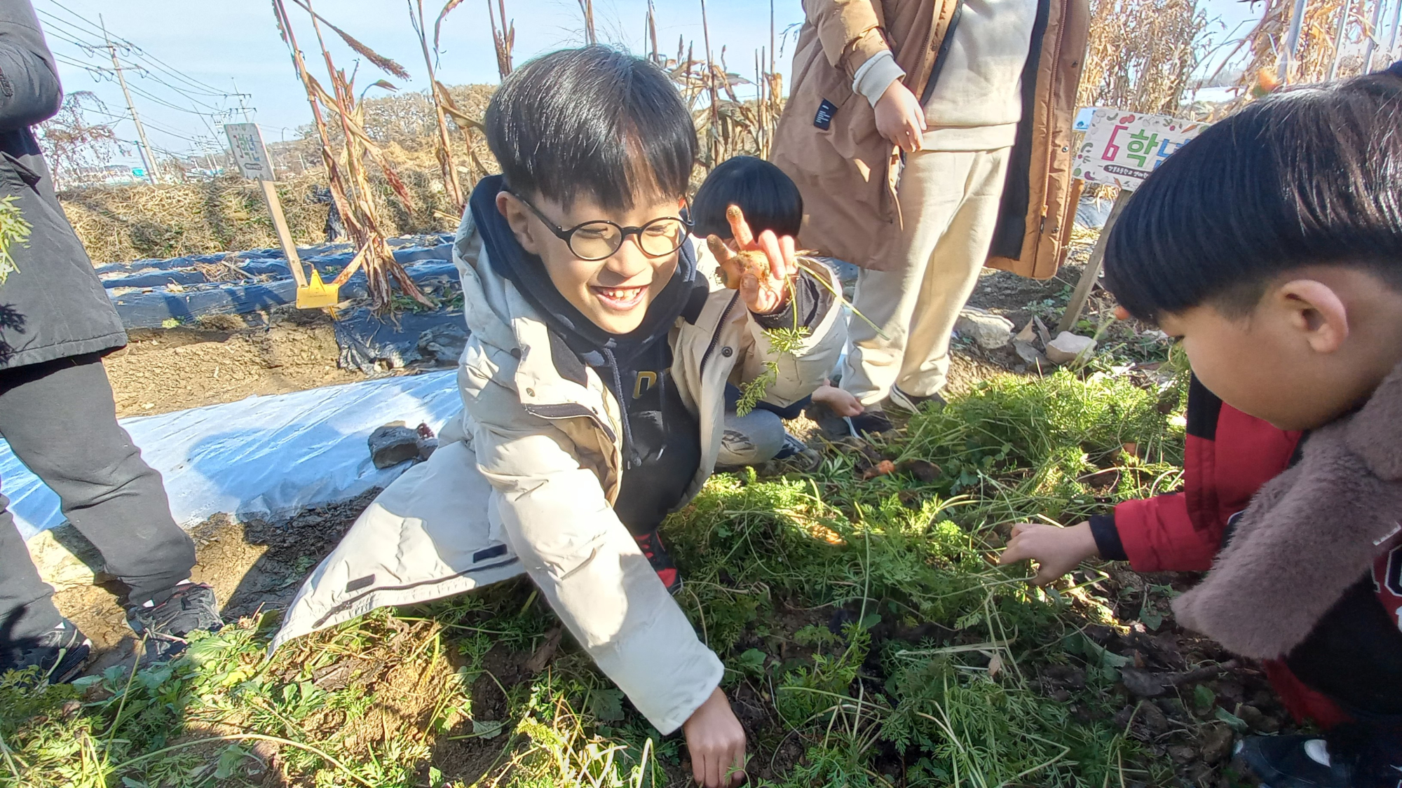 텃밭 체험_3학년(4)