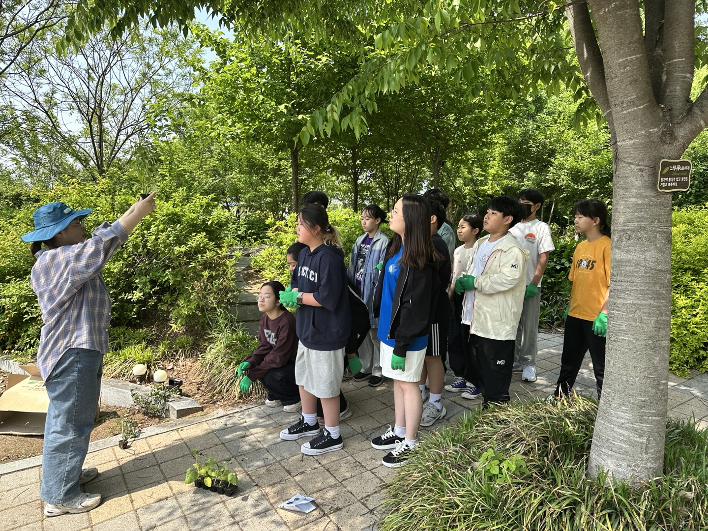 6학년 텃밭(1)